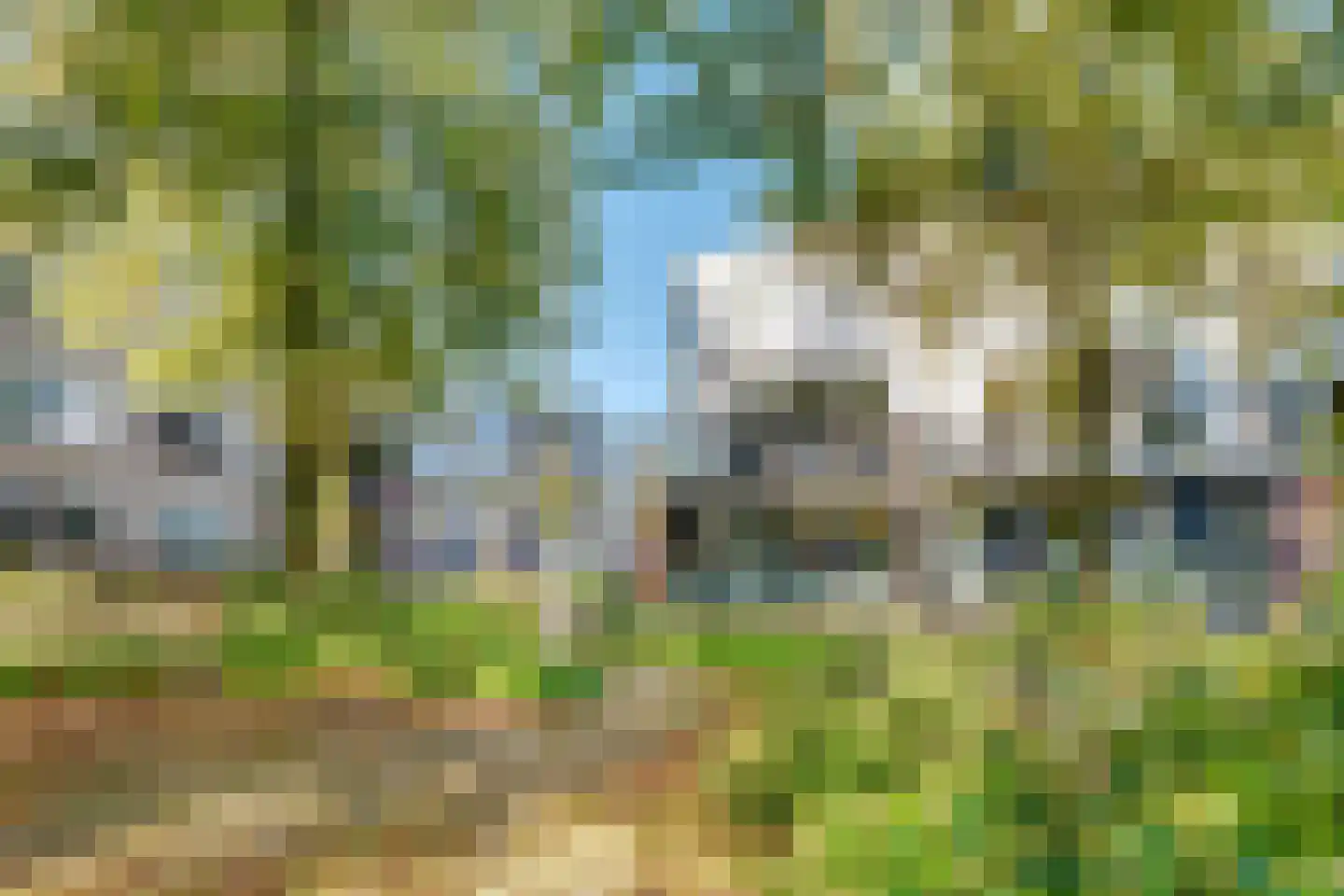 de Lei 45 Driebergen-Rijsenburg thumbnail 5