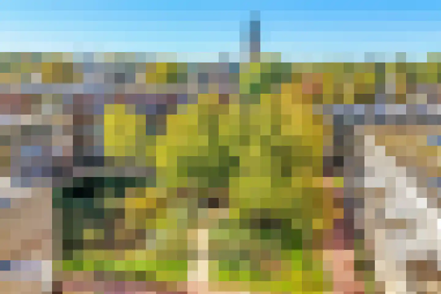 de Lei 45 Driebergen-Rijsenburg thumbnail 6