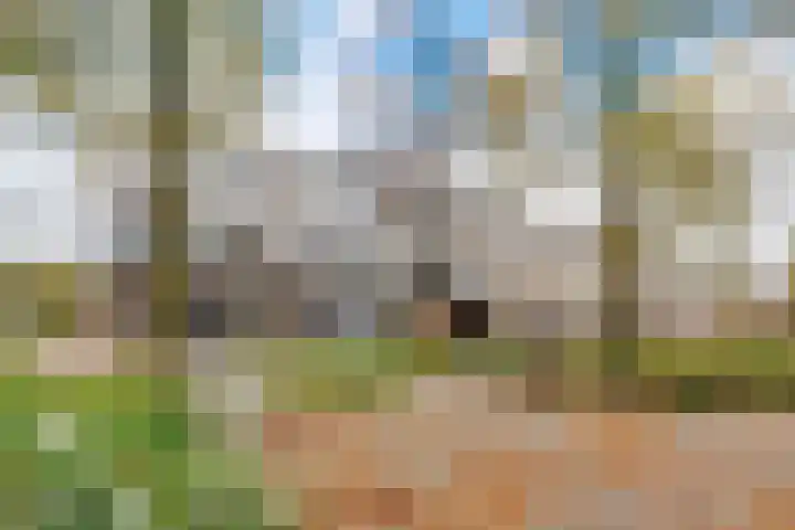 de Lei 47 Driebergen-Rijsenburg thumbnail 26