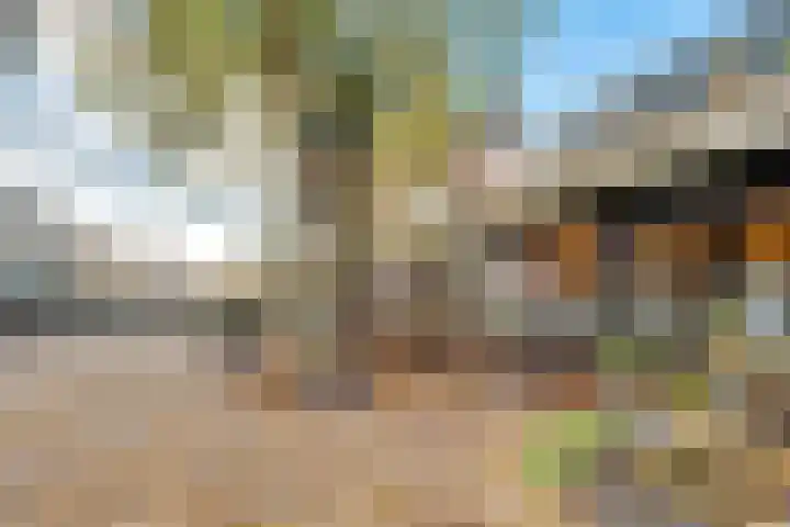 de Lei 47 Driebergen-Rijsenburg thumbnail 32