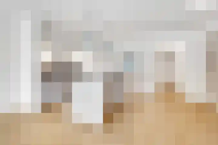 de Lei 47 Driebergen-Rijsenburg thumbnail 6