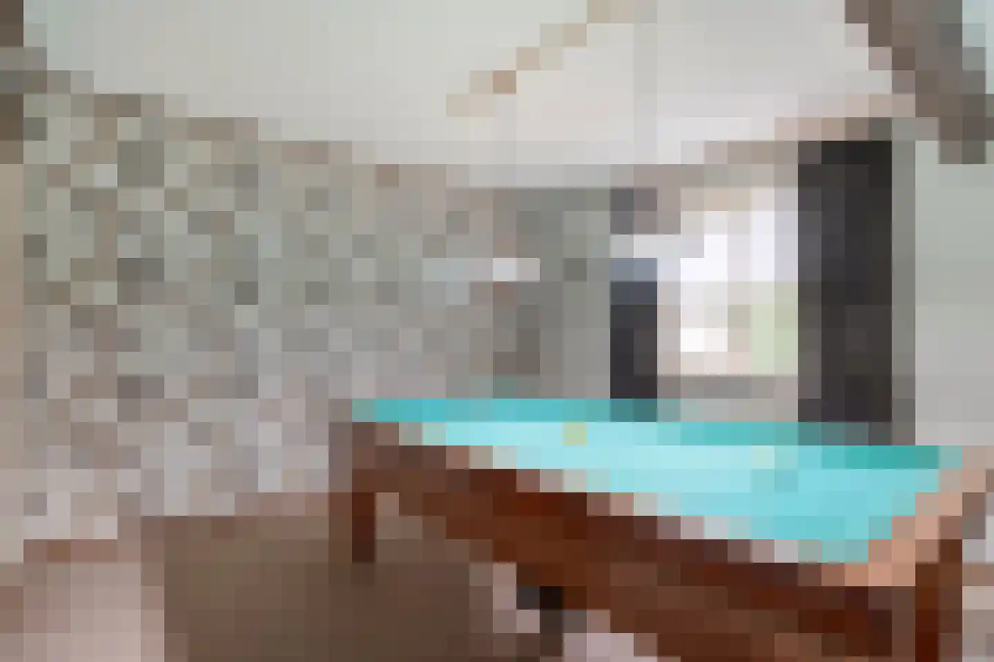 de Leiding 19 Witharen thumbnail 34