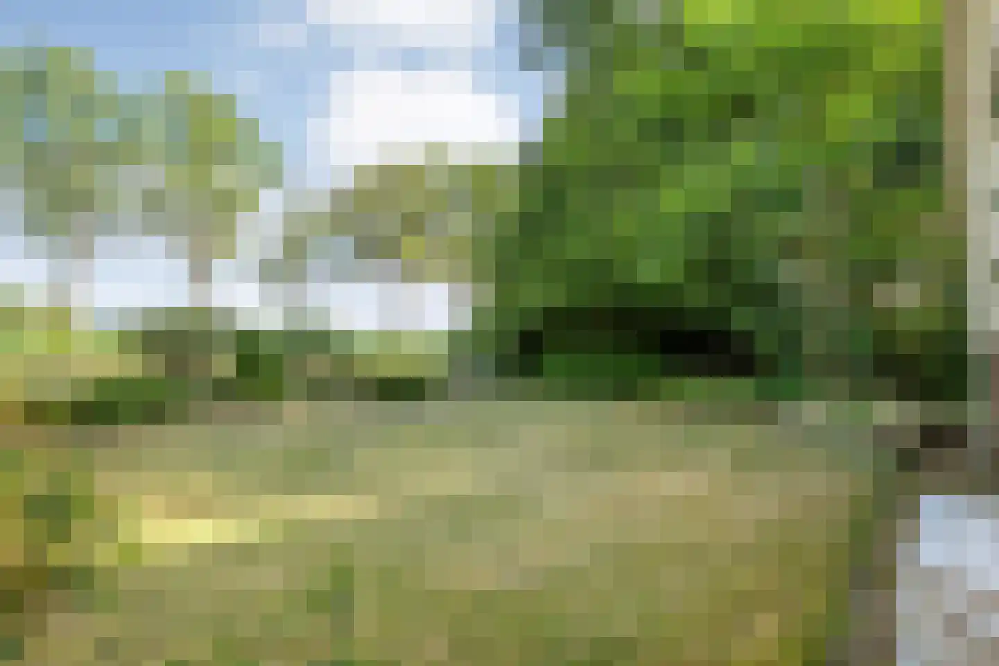 de Leiding 19 Witharen thumbnail 60