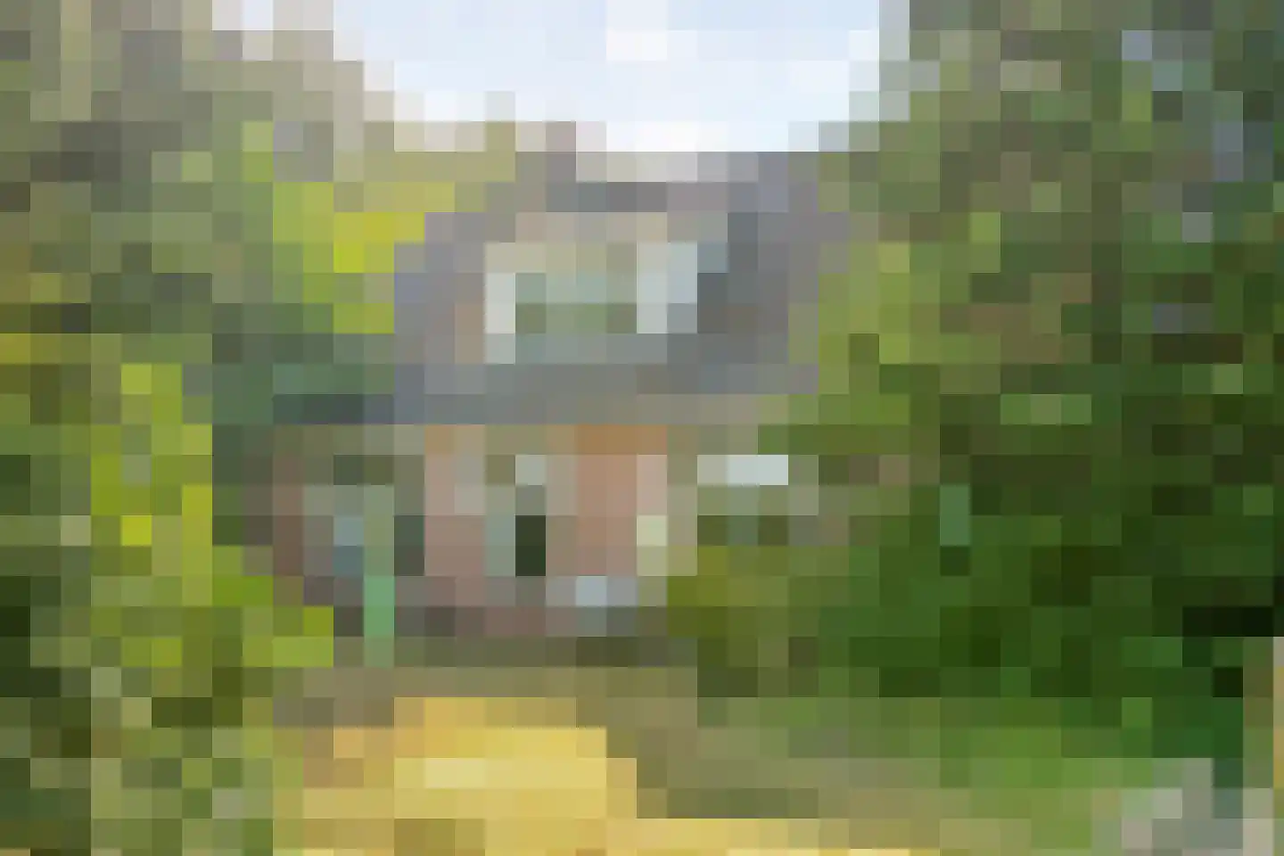 de Leiding 19 Witharen thumbnail 62