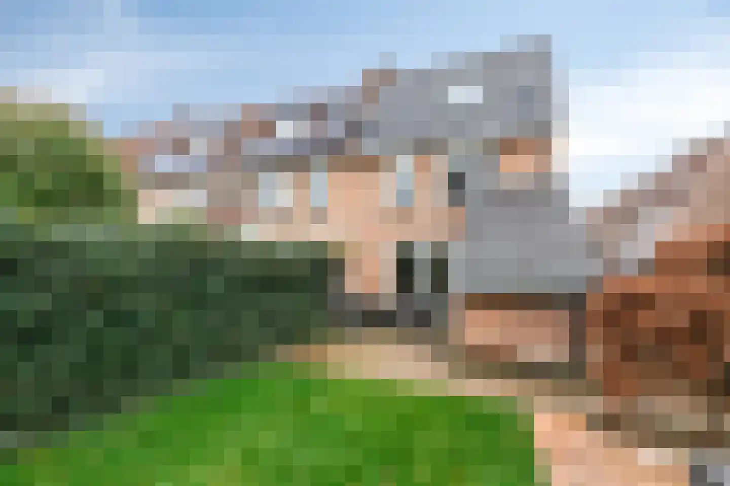 De Leigraaf 127 Westervoort thumbnail 32