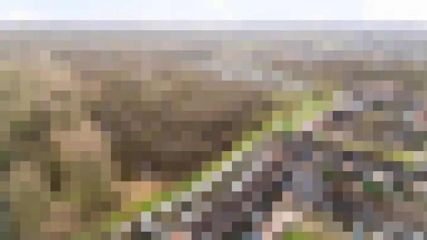 De Leigraaf 127 Westervoort thumbnail 33