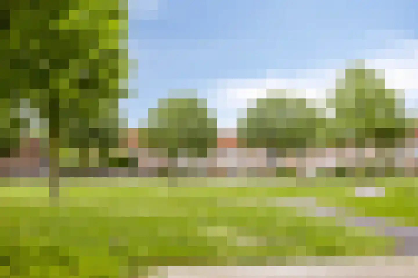 De Leigraaf 13 Westervoort thumbnail 19