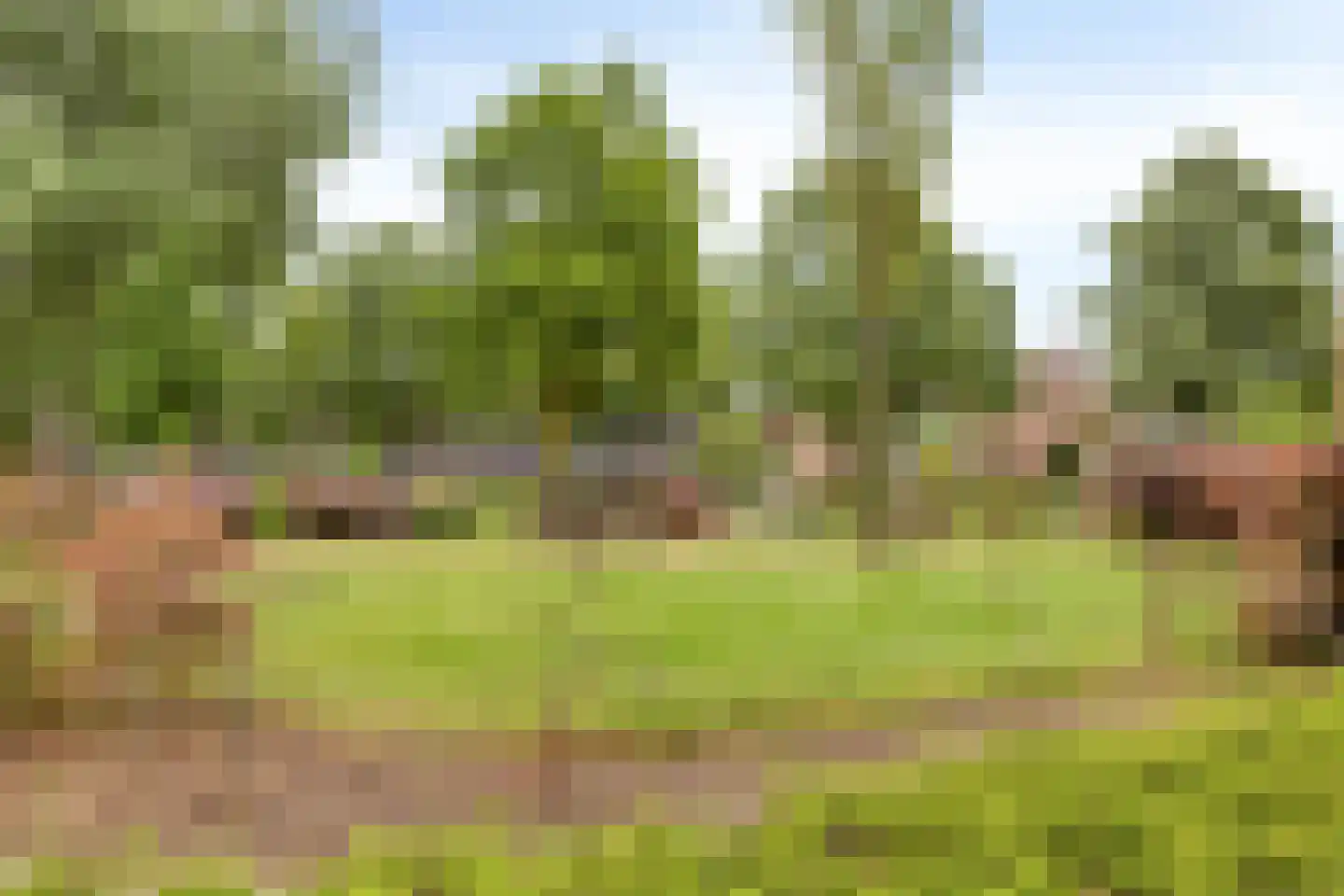 De Leigraaf 13 Westervoort thumbnail 20