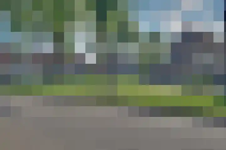 De Leigraaf 41 Westervoort thumbnail 22