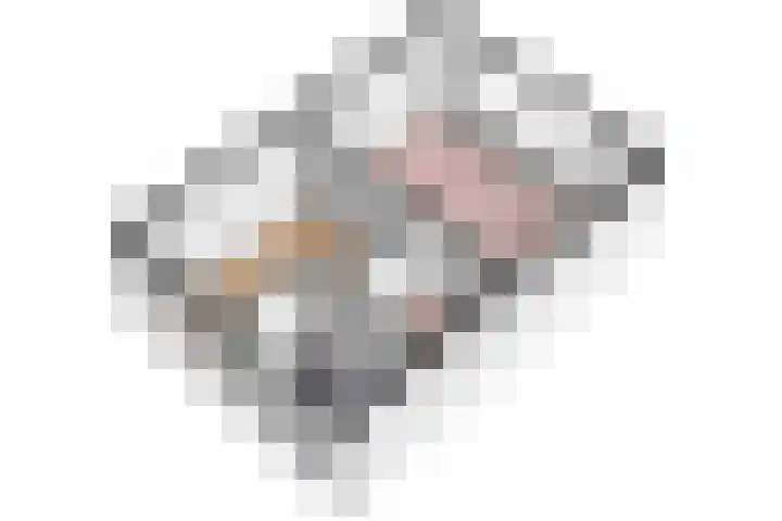 De Leigraaf 41 Westervoort thumbnail 26