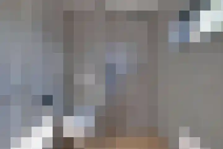 De Leigraaf 41 Westervoort thumbnail 4