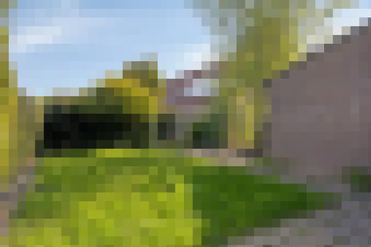 De Leigraaf 5 Westervoort thumbnail 20