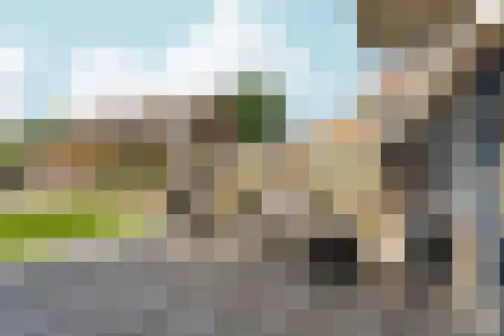 De Leigraaf 6 Westervoort thumbnail 20