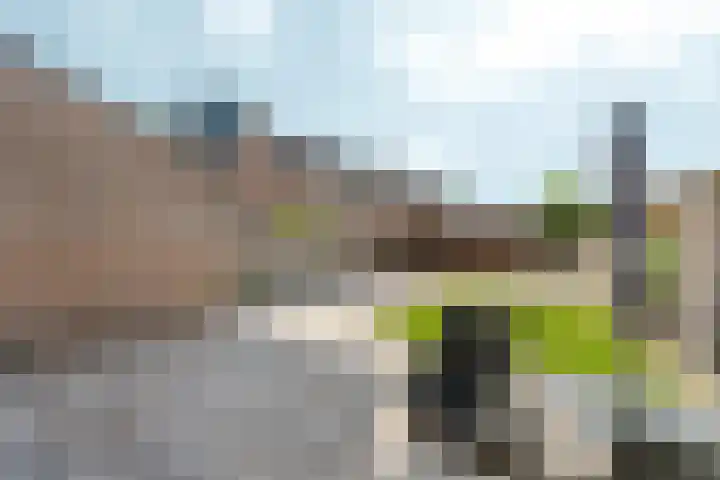 De Leigraaf 6 Westervoort thumbnail 21