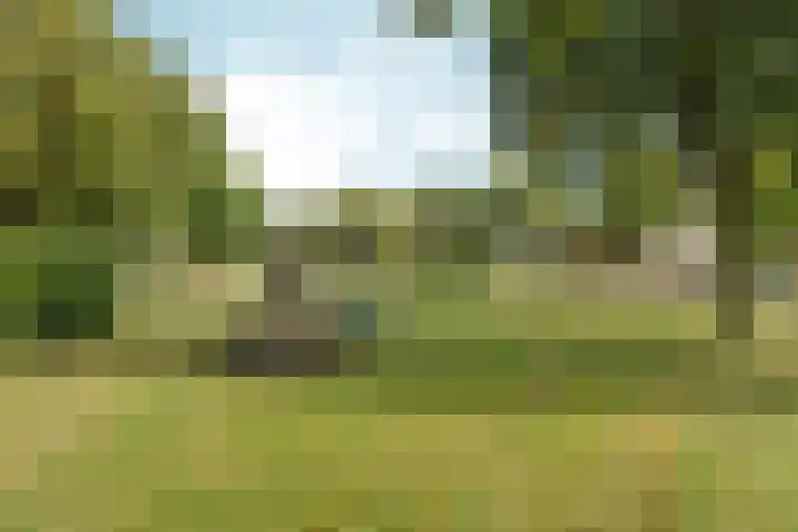 De Leigraaf 6 Westervoort thumbnail 29