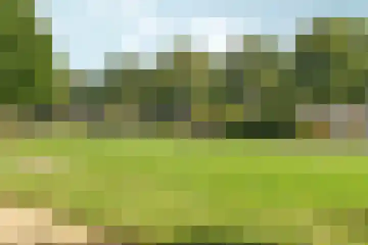 De Leigraaf 6 Westervoort thumbnail 30