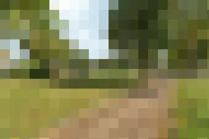 De Leigraaf 6 Westervoort thumbnail 31