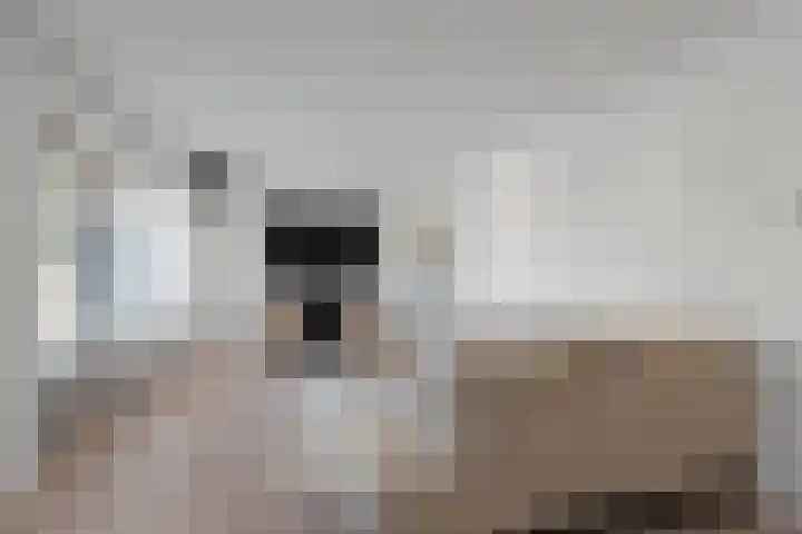 De Leigraaf 6 Westervoort thumbnail 9