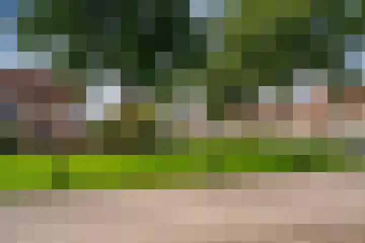 De Leigraaf 67 Westervoort thumbnail 10