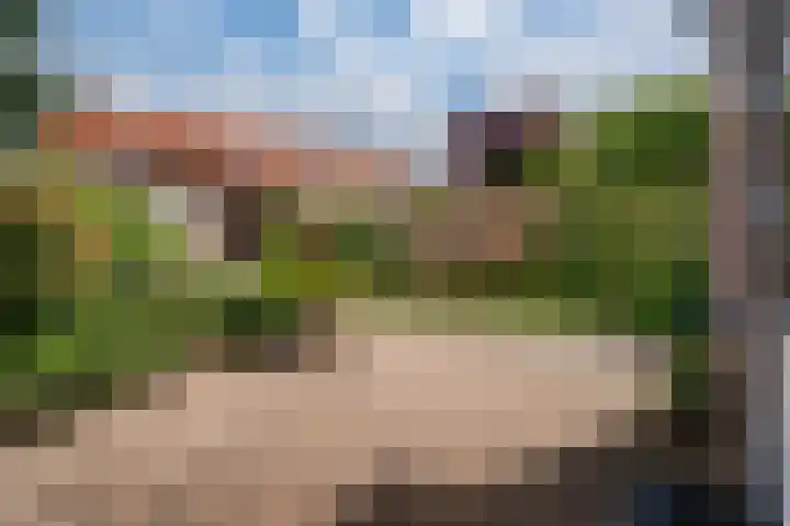 De Leigraaf 67 Westervoort thumbnail 26