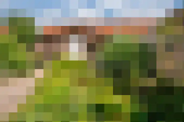 De Leigraaf 67 Westervoort thumbnail 28
