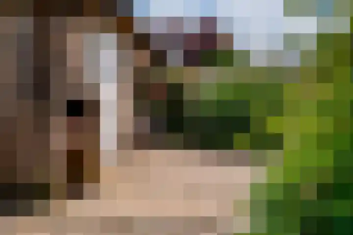 De Leigraaf 67 Westervoort thumbnail 30