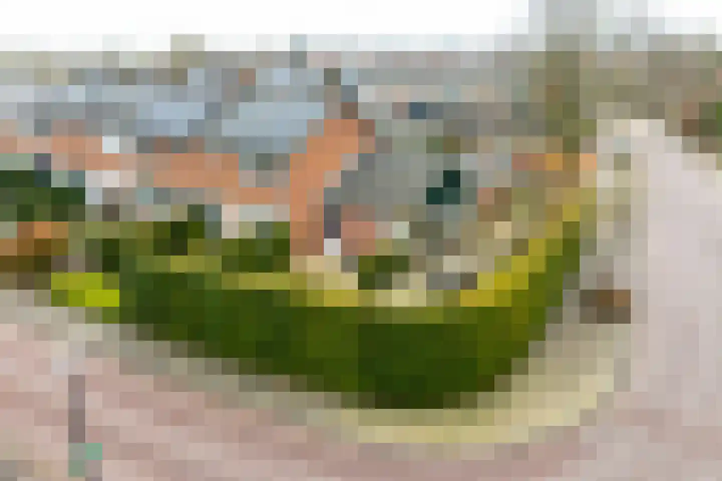 De Leigraaf 67 Westervoort thumbnail 47