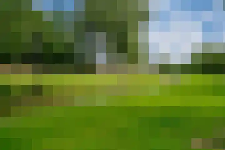 De Leigraaf 67 Westervoort thumbnail 48