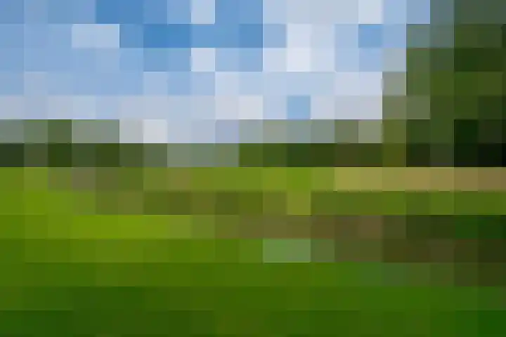 De Leigraaf 67 Westervoort thumbnail 49