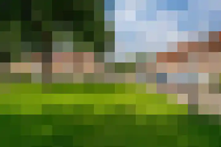 De Leigraaf 67 Westervoort thumbnail 9