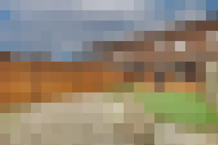 De Leigraaf 73 Westervoort thumbnail 19