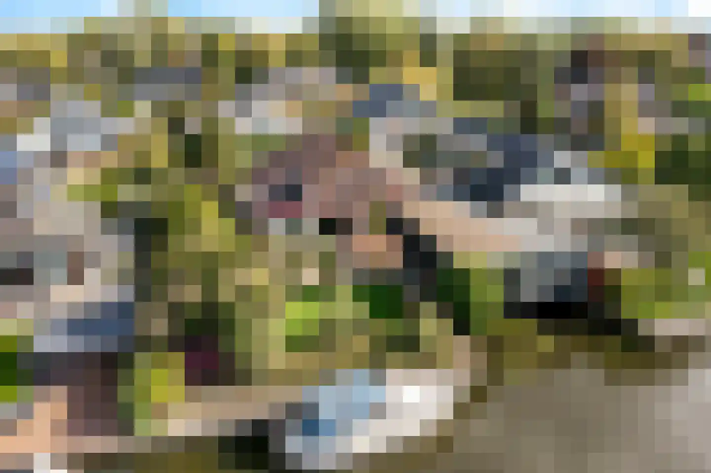 de Leijen 14 Sneek