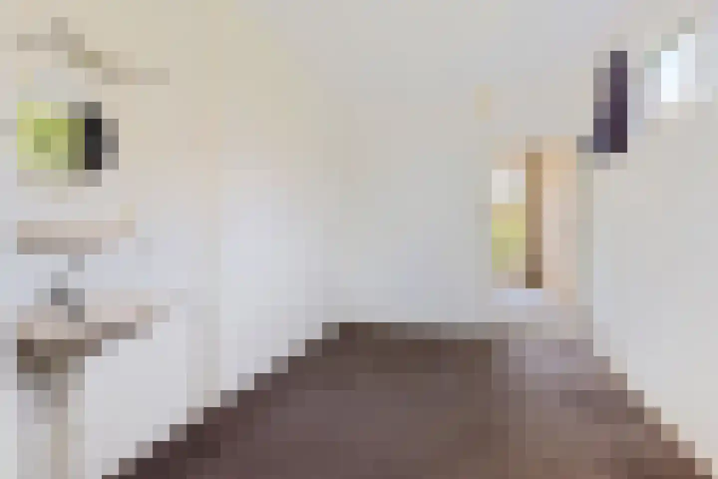 de Leijen 14 Sneek thumbnail 15