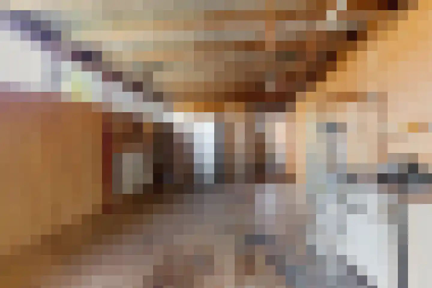 de Leijen 14 Sneek thumbnail 19