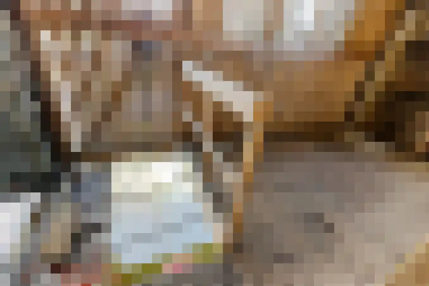 de Leijen 14 Sneek thumbnail 20