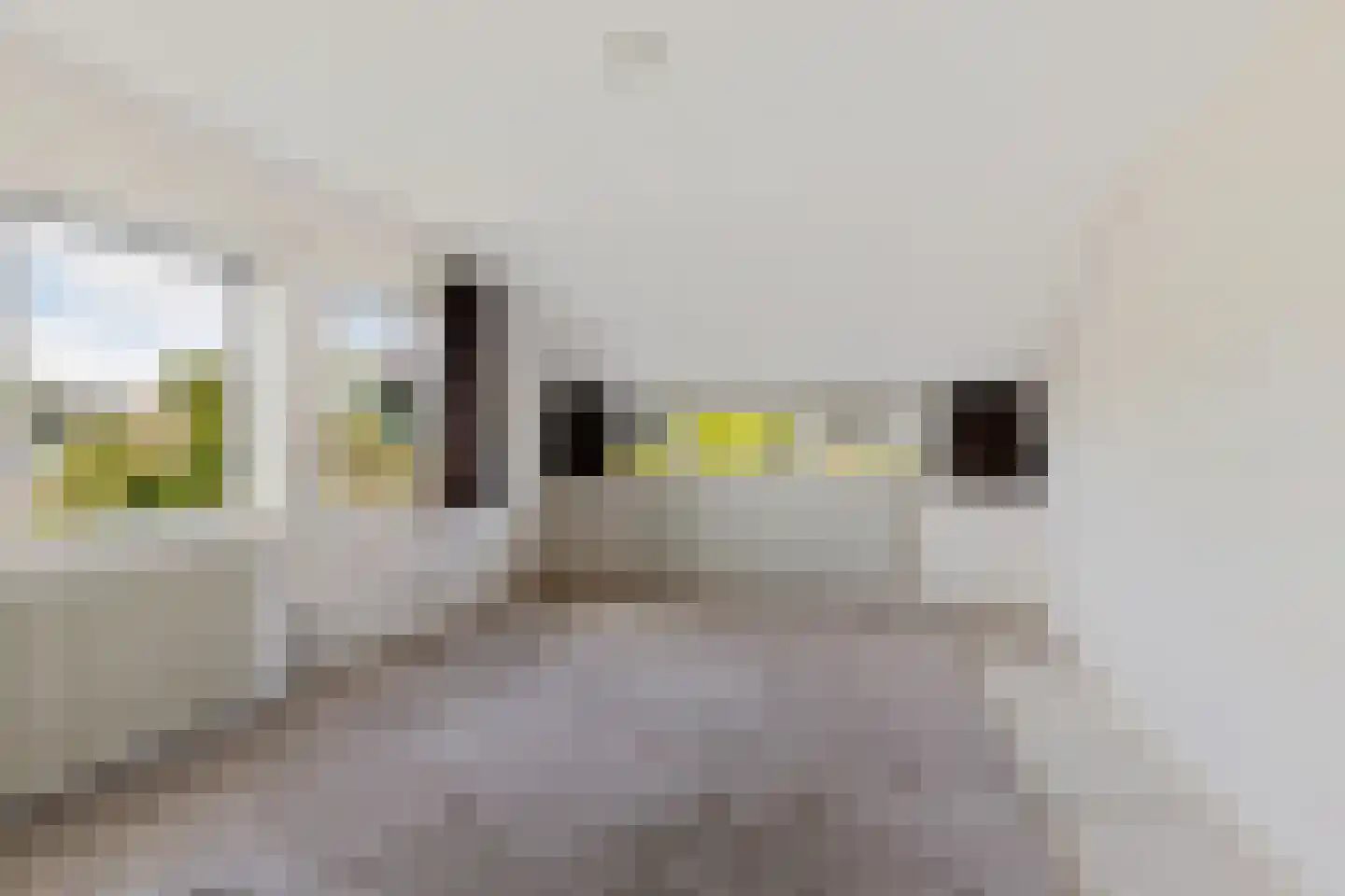 de Leijen 14 Sneek thumbnail 23