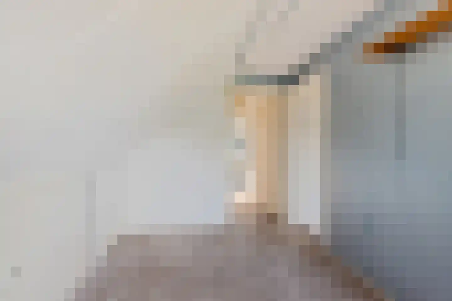 de Leijen 14 Sneek thumbnail 29