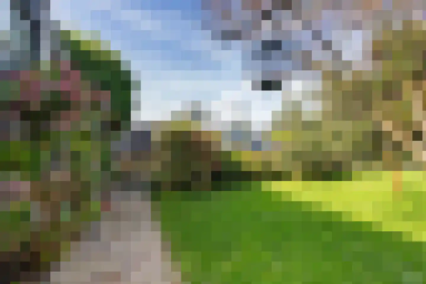 de Leijen 14 Sneek thumbnail 33