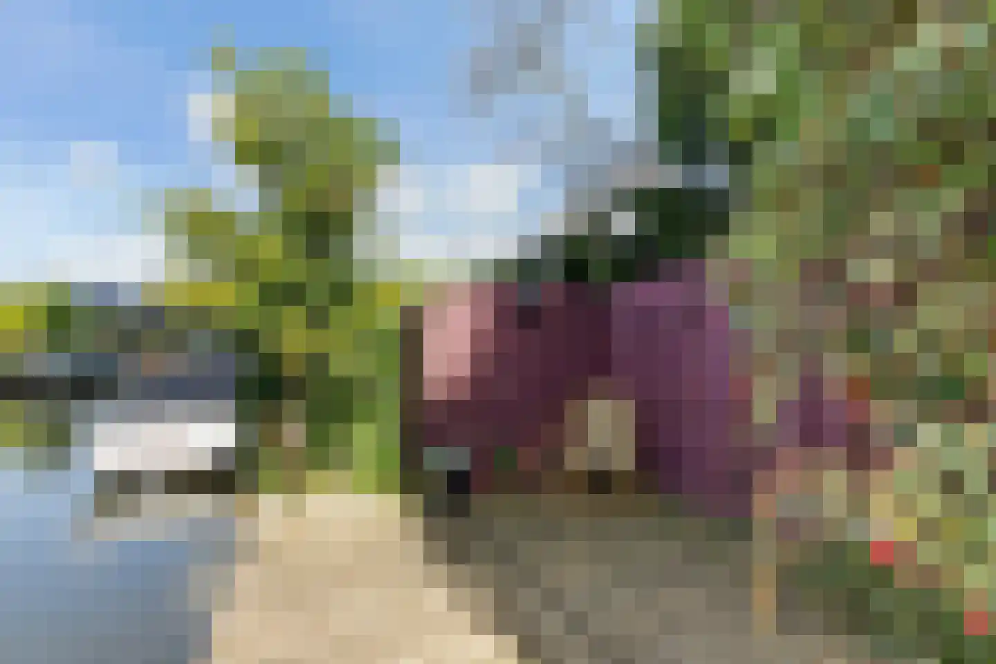 de Leijen 14 Sneek thumbnail 40