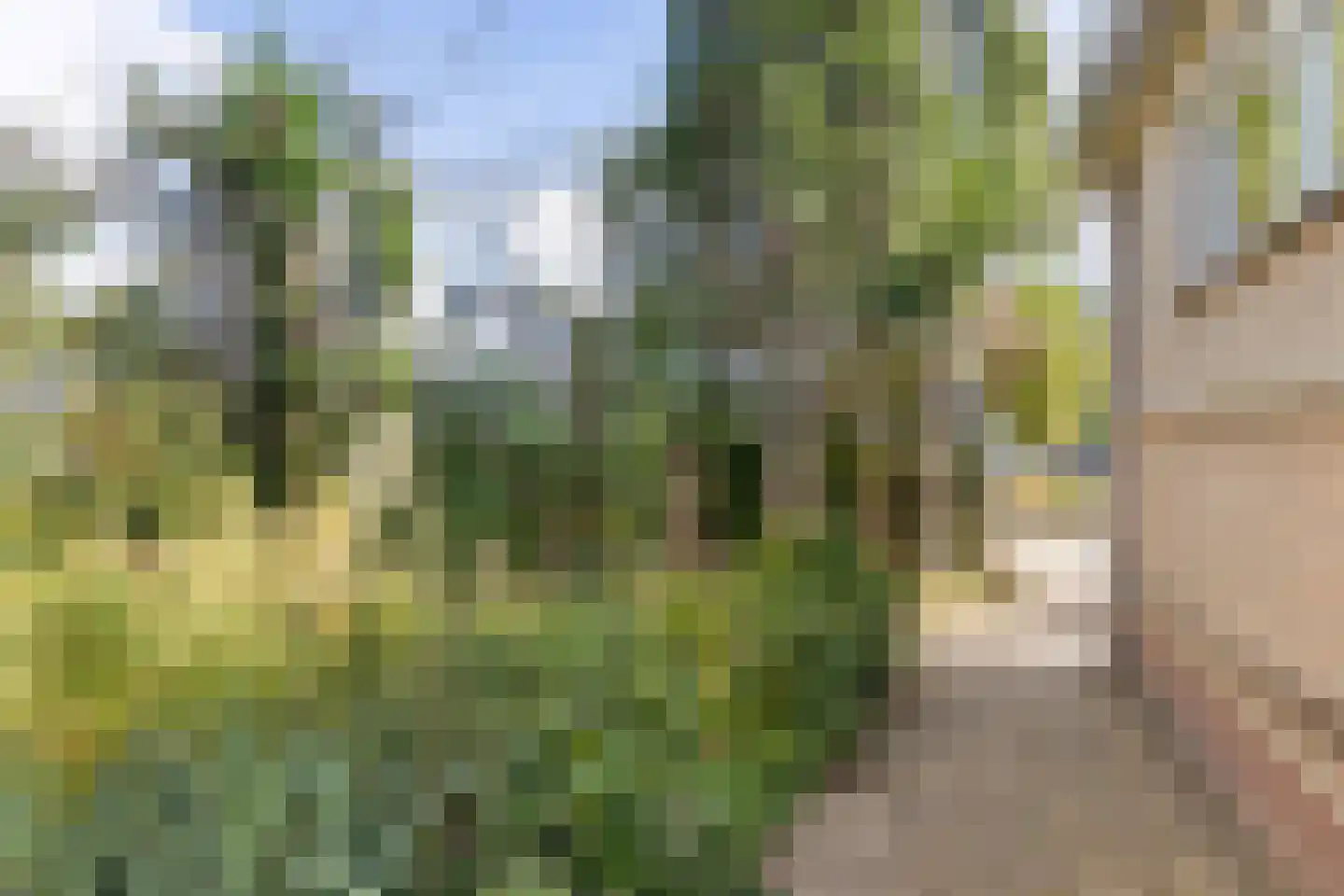 de Leijen 14 Sneek thumbnail 48