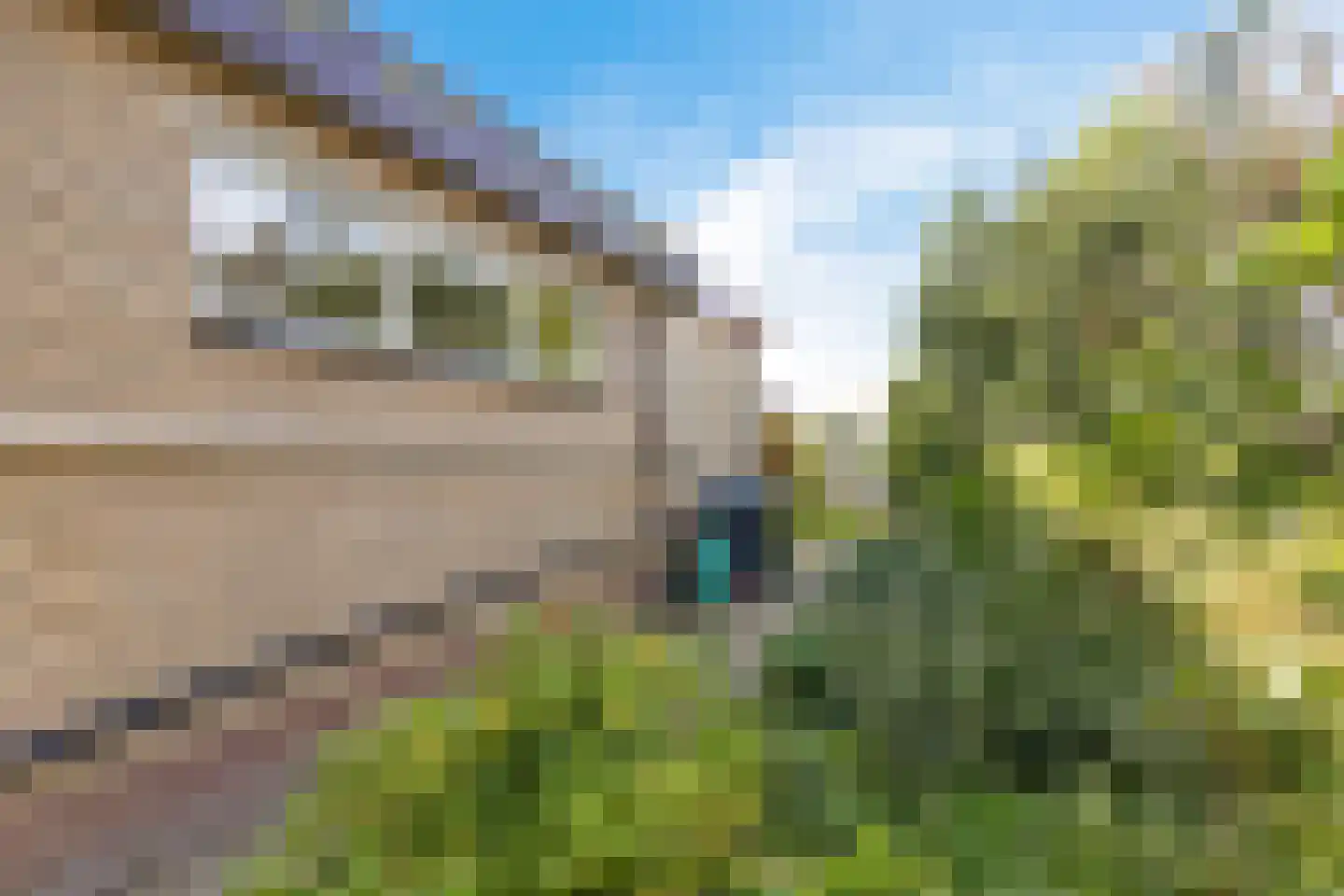 de Leijen 14 Sneek thumbnail 50