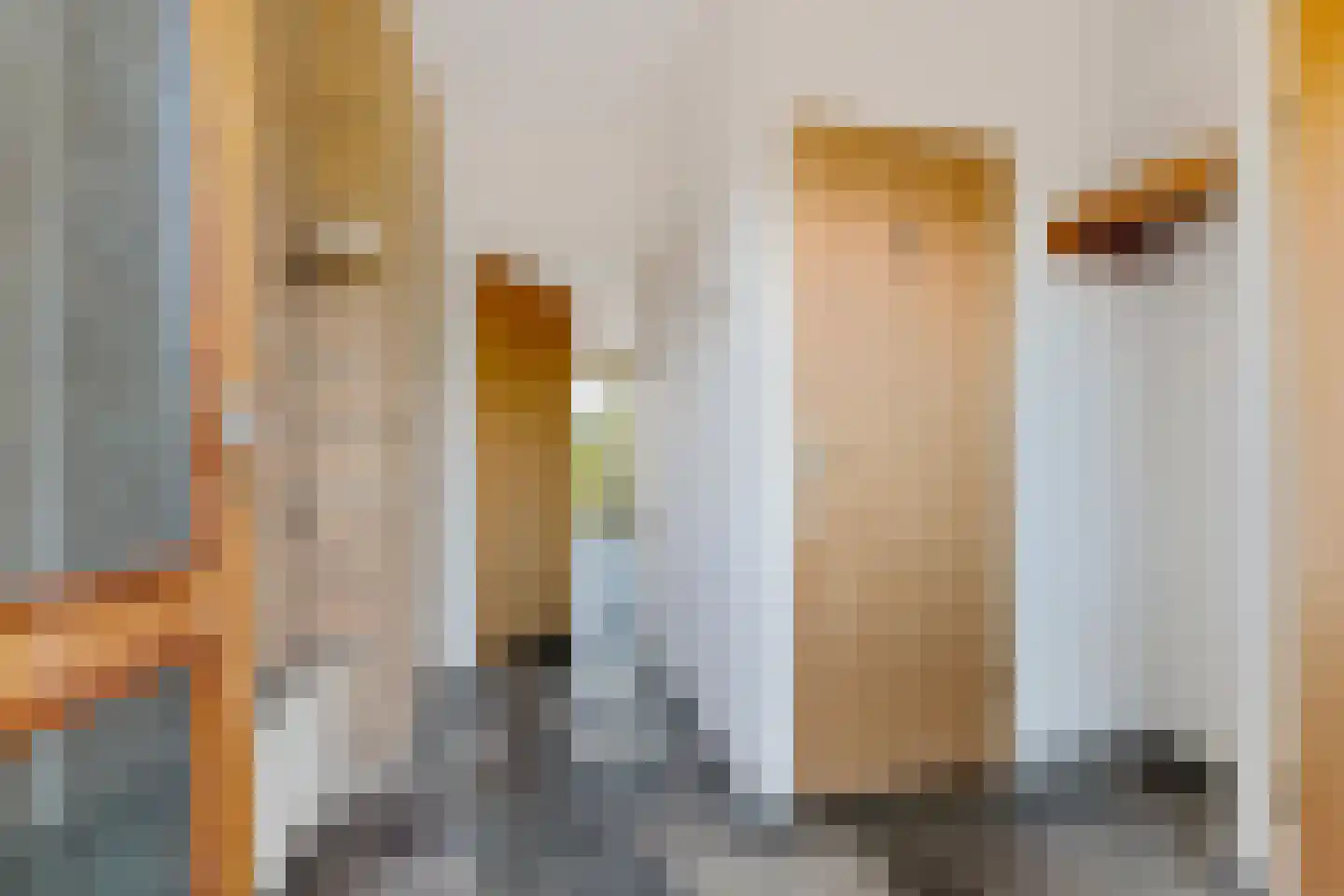 de Leijen 14 Sneek thumbnail 6