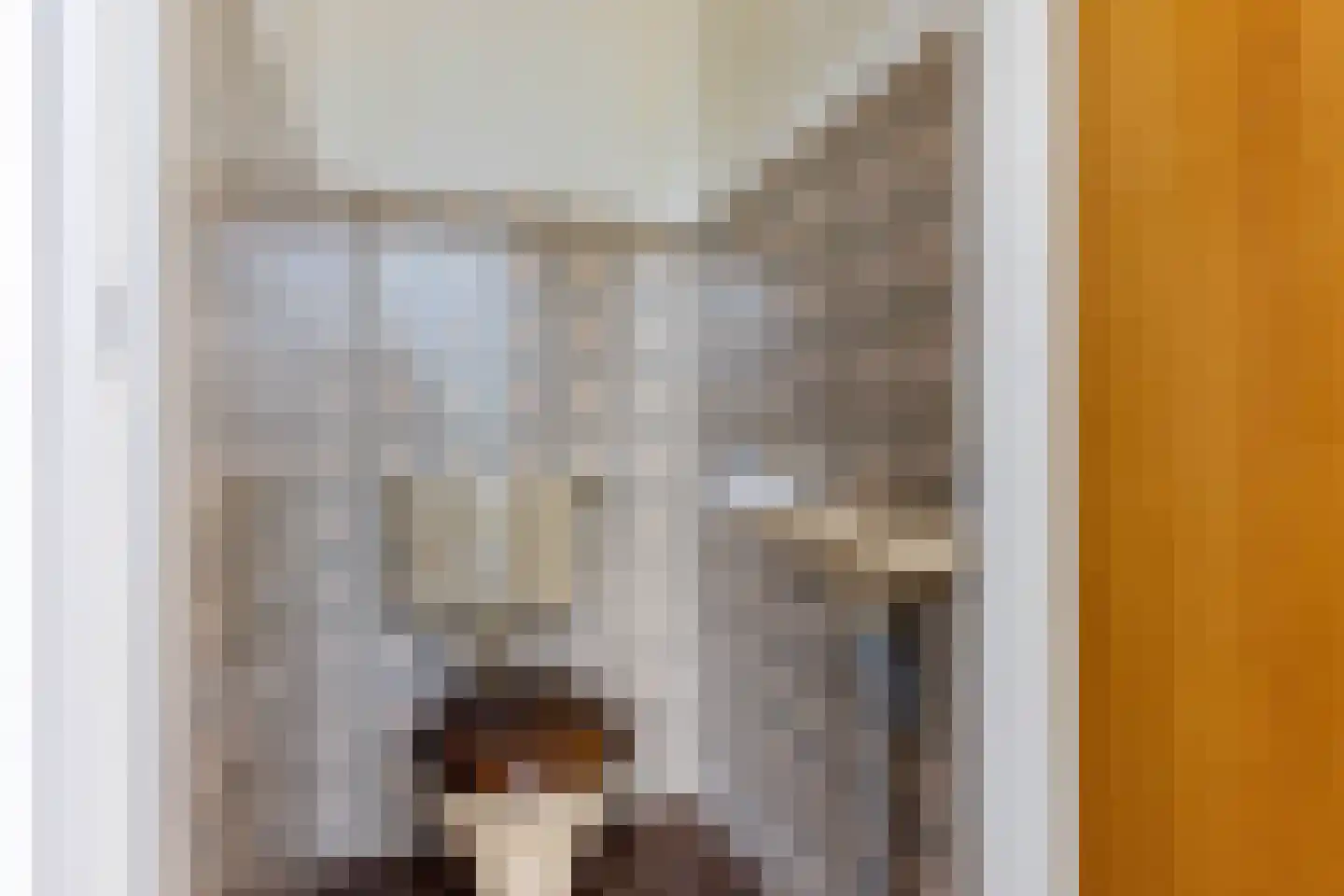 de Leijen 14 Sneek thumbnail 7