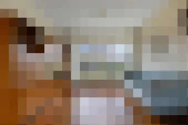 De Leijen 22 Drachten thumbnail 11