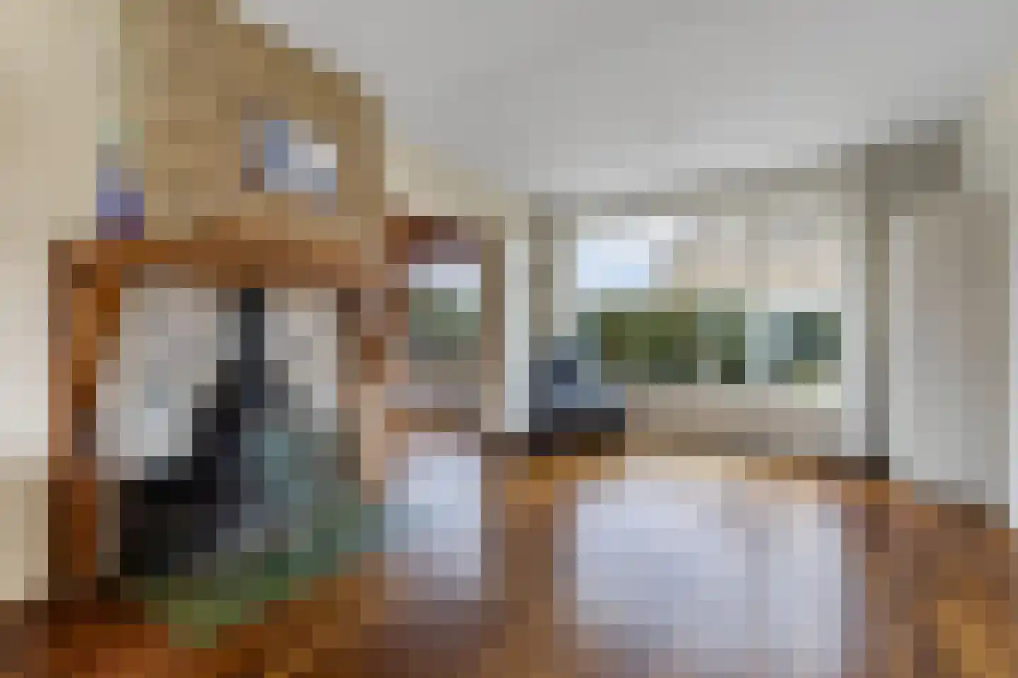 De Leijen 22 Drachten thumbnail 13