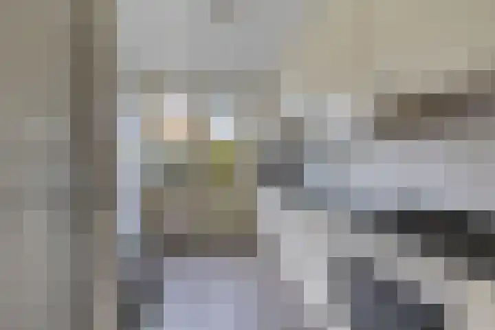 De Leijen 22 Drachten thumbnail 17