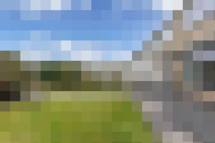 De Leijen 22 Drachten thumbnail 36