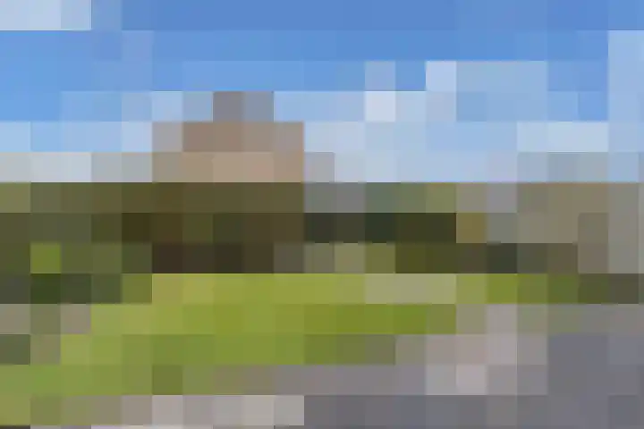 De Leijen 22 Drachten thumbnail 37