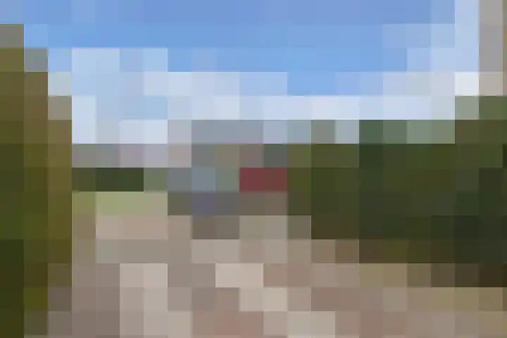De Leijen 22 Drachten thumbnail 42
