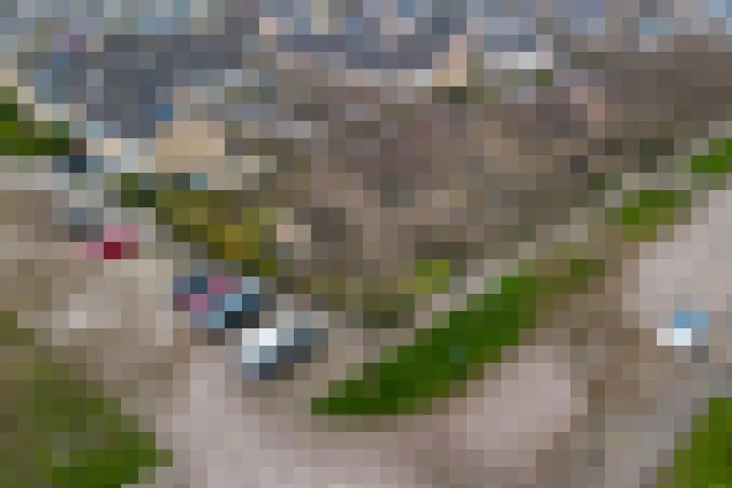 De Leijen 22 Drachten thumbnail 45